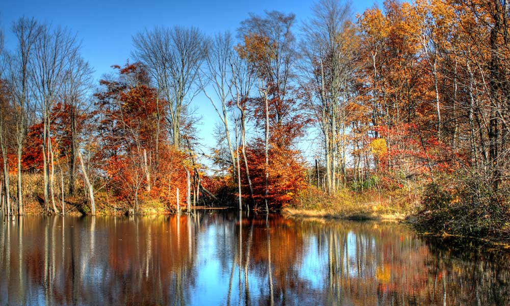 Pond-HDR509071c646362