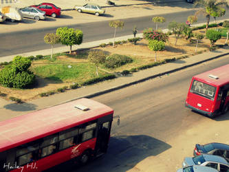 Cairo streets