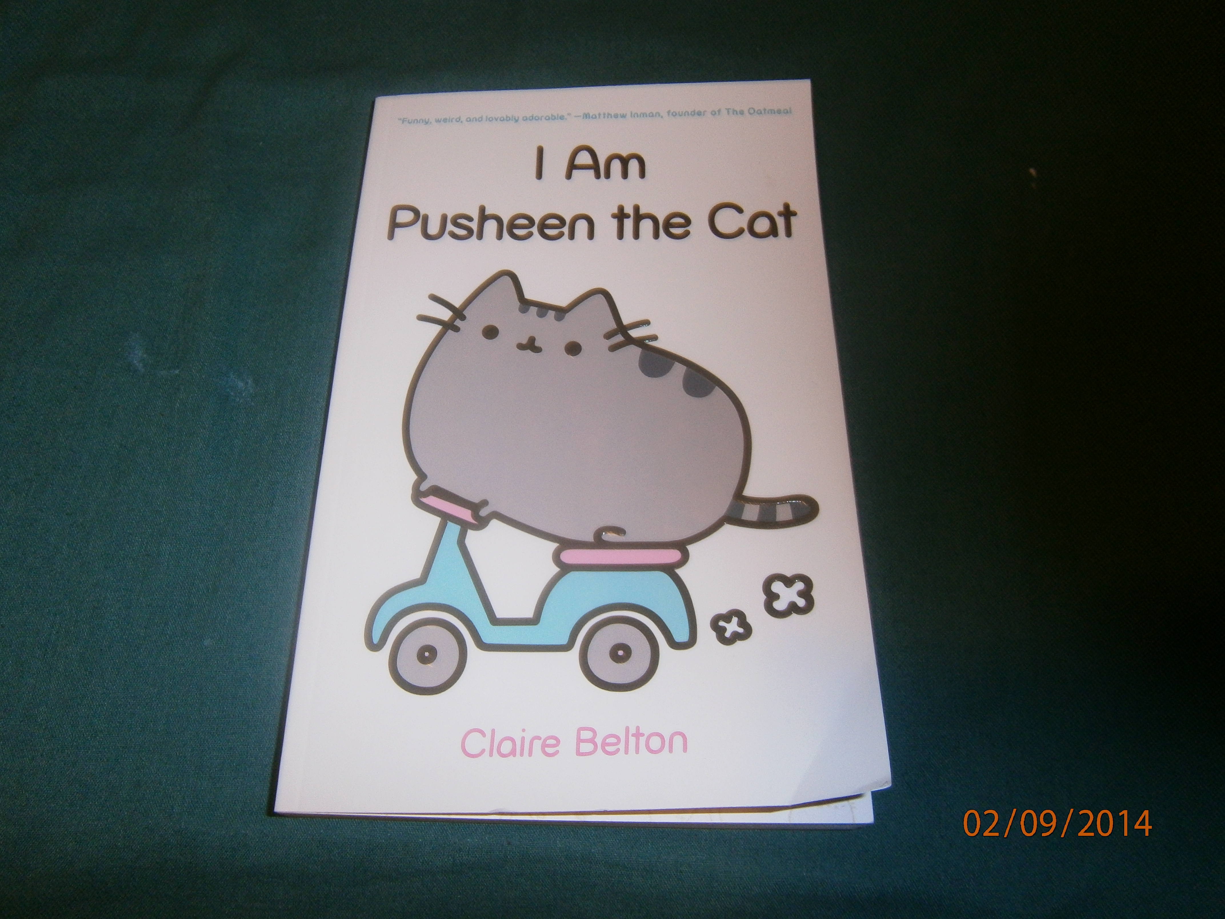 I AM PUSHEEN THE CAT