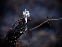 Gothic Adjustable Claw Winged Divinity Ring