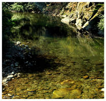 River bed with rocks