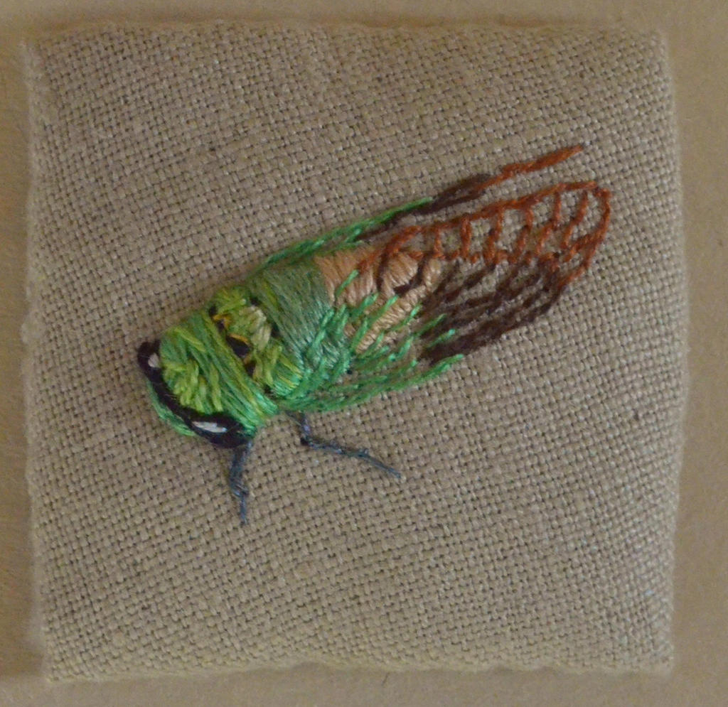 Superb Green Cicada