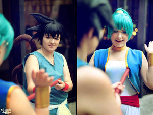 Bulma and Goku