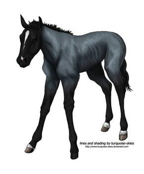 Blue Roan Design: BlaineRiverRanch