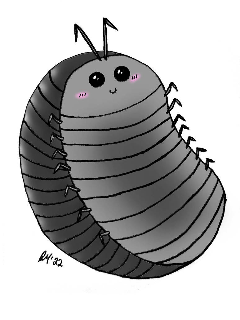 Pill bug (Roly Poly) by rayray25 on DeviantArt