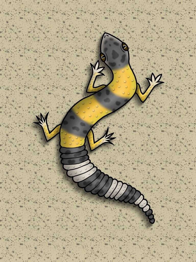 Gecko Deviantart Leopard Gecko by rayray25 on DeviantArt