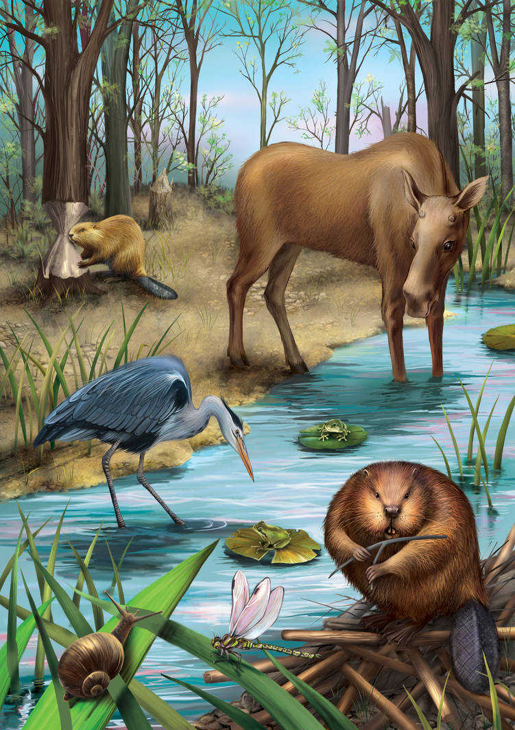 Сказка о жизни животных весной. Лесные обитатели. Животные в лесу. Картина животные. Пейзаж с животными.