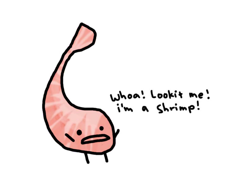 Shrimp