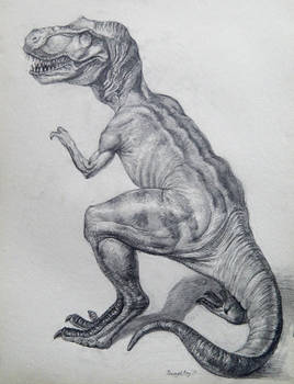 Rex (still life) in soluble graphite