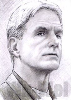 Mark Harmon as Gibbs NCIS PSC