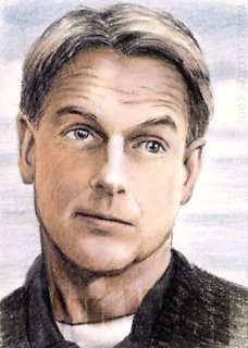 Mark Harmon mini-portrait