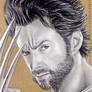 Wolverine Jackman9