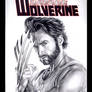Wolverine sketchcover