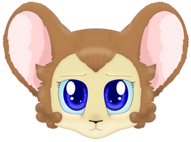 Kitty profile