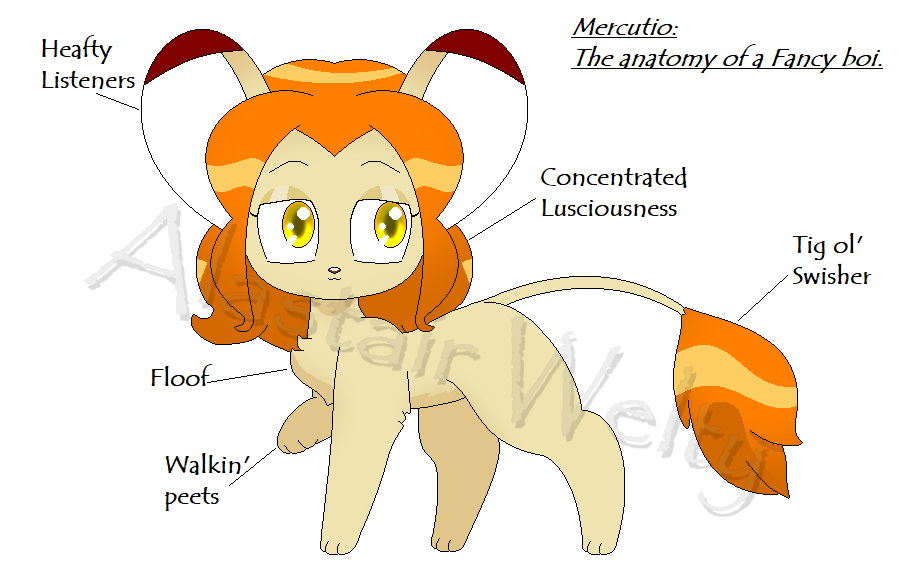 Mercutio: Fancy boi