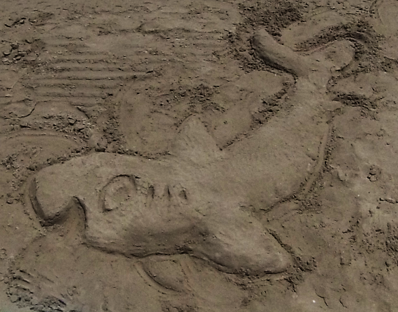 Sand Drawing