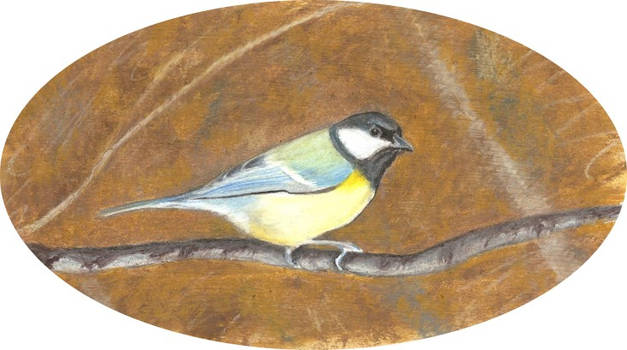 Great Tit