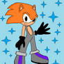 x:Snoic Dash The Hedgehog:x