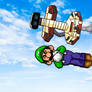 Victory Pic | Luigi 2