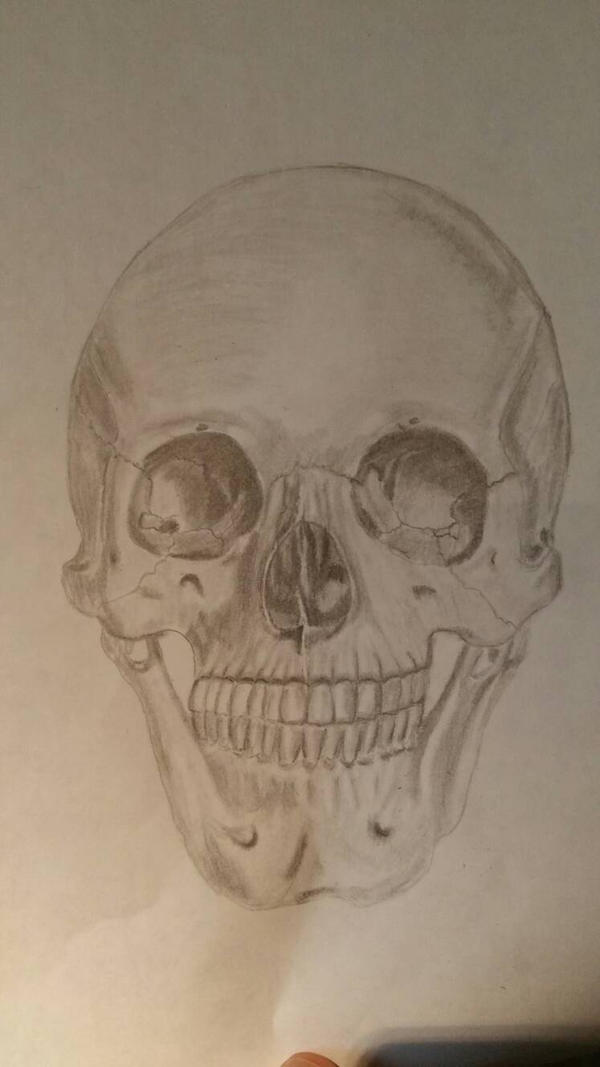 skull