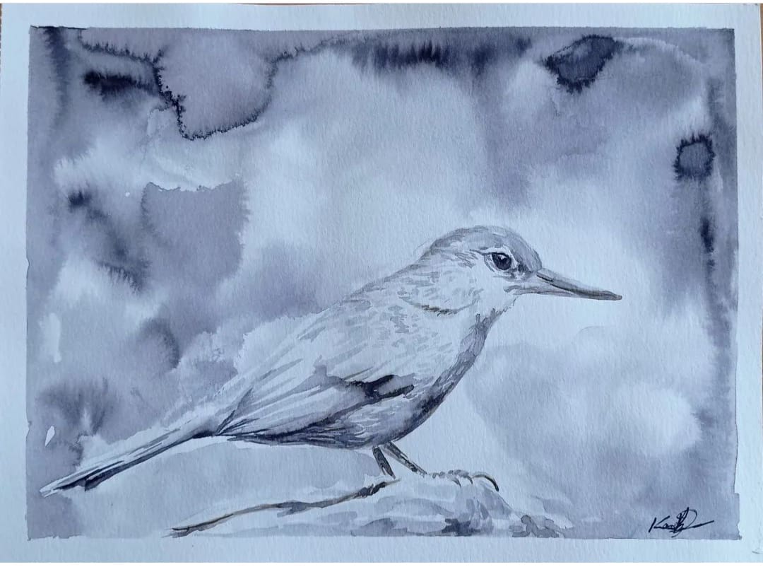 Watercolor And Ink Bird