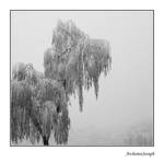 Un Univers tout Blanc by ArchonteSeraph