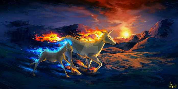 Rapidash and Shiny Ponyta