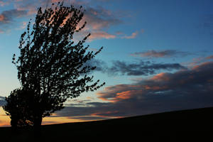 gathering clouds