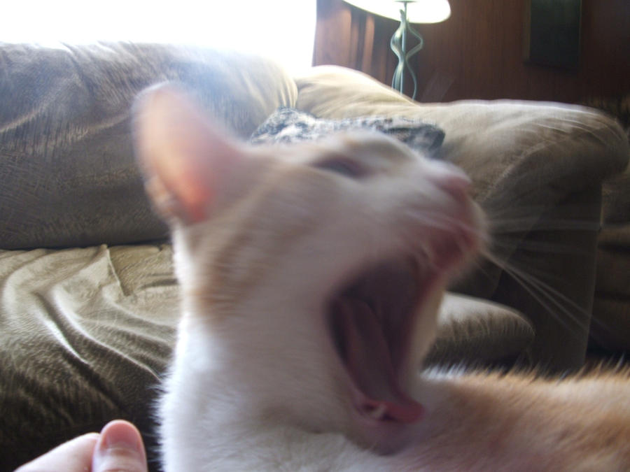 Chester the Molester by DestinedDisaster on DeviantArt