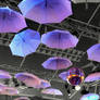 Umbrella land