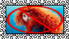 Anti Merida