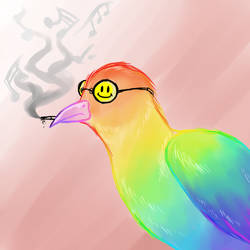 Smokes the Rainbow Crow