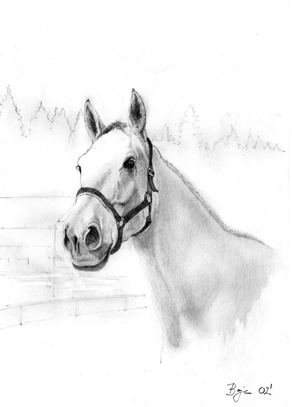 Horse 01