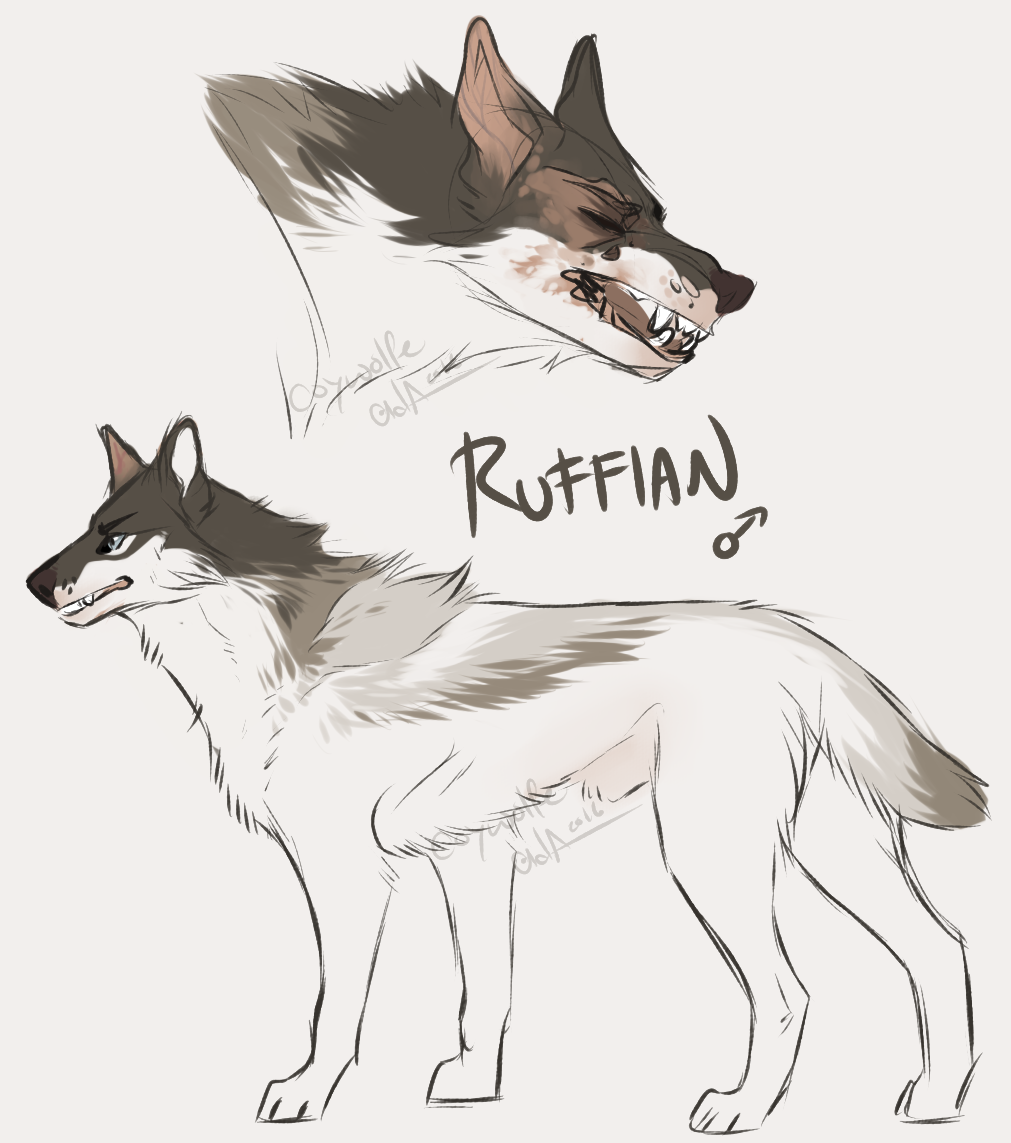 [Concept]: Ruffian