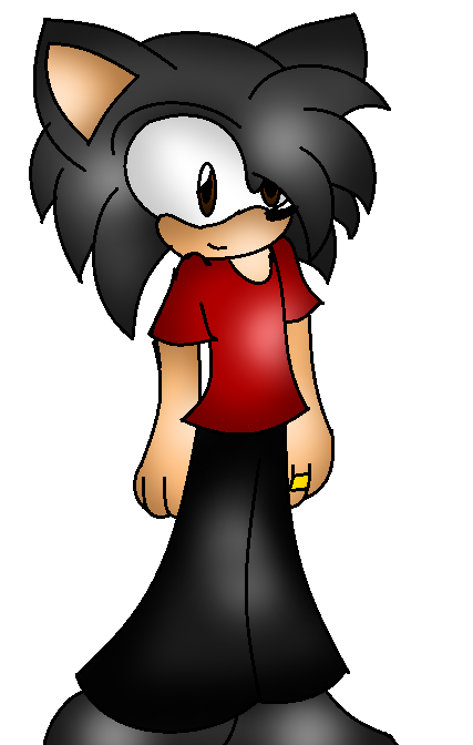 Rafael Geraldo The Hedgehog