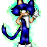 |\:.{~ Sonic The Cat ~}.:/|