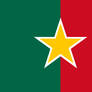 Proposed flag for the state of Coahuila