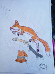 skateboarding fox