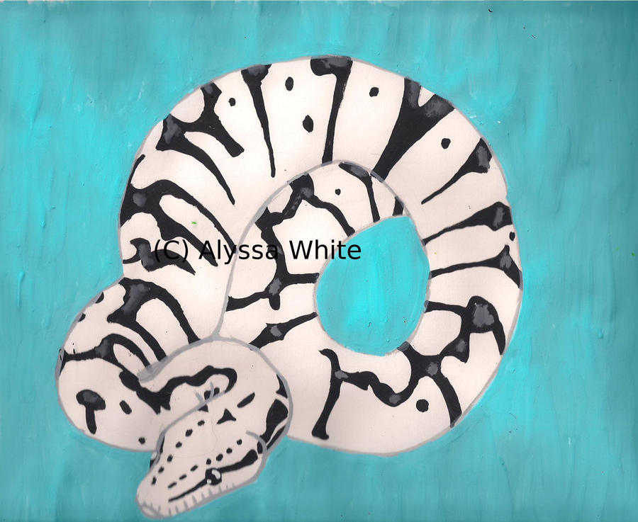 Axanthic Killer Bee BallPython by GargoyleGardens on DeviantArt