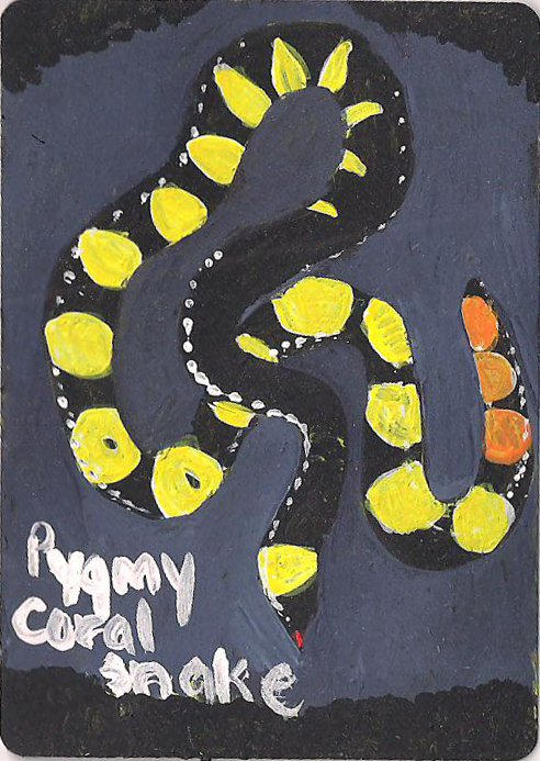 Pygmy Coral Snake Token 2 by GargoyleGardens on DeviantArt