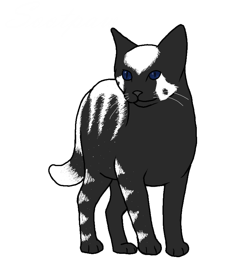 Sootpaw