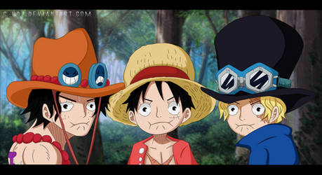 Ace Sabo Luffy~