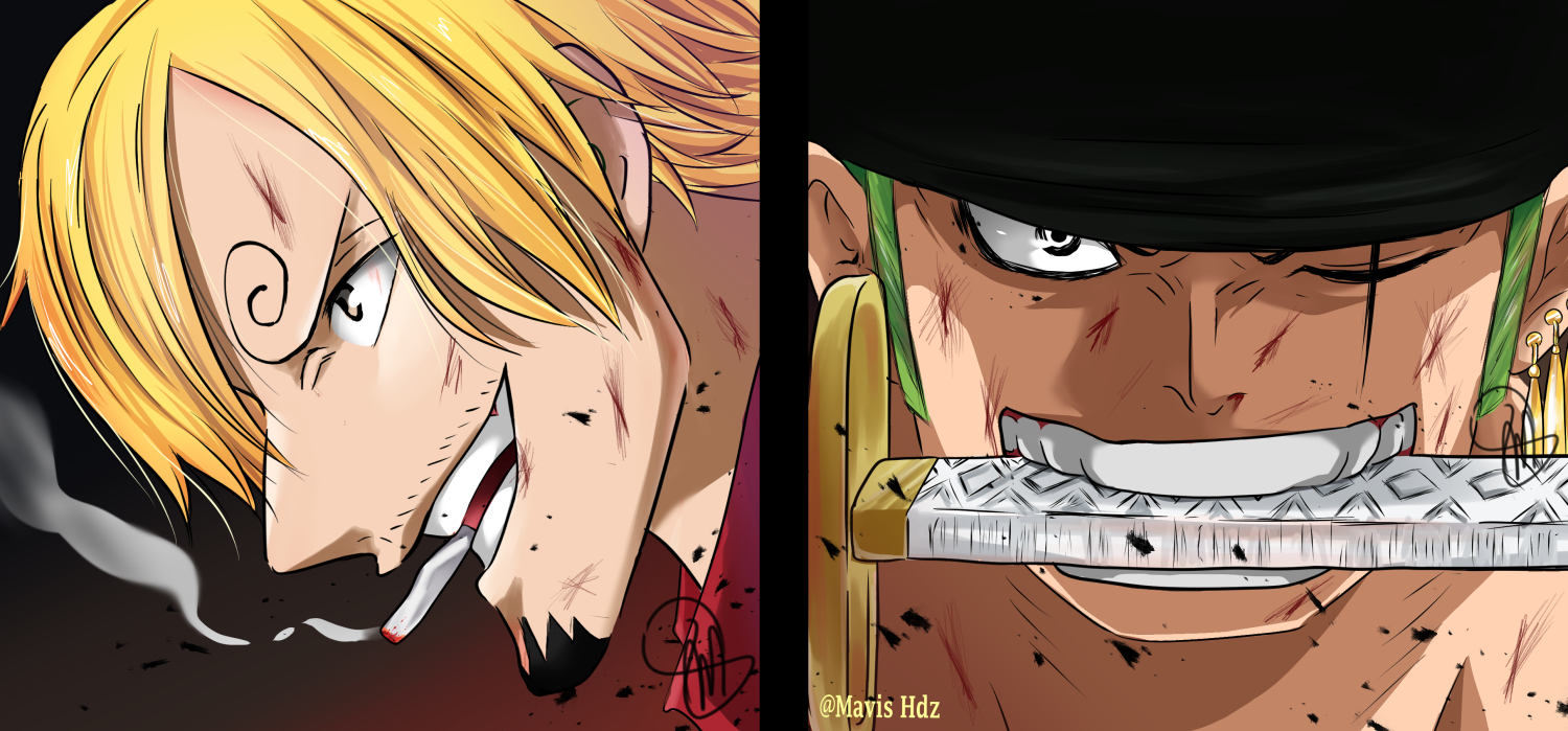 One Piece 1022 - Zoro and Saji by MavisHdz on DeviantArt