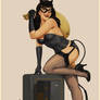 Catwoman Pinup