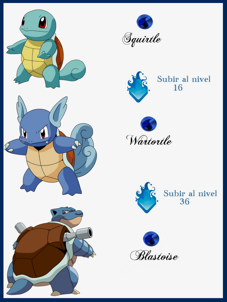 003 Squirtle Evoluciones by Maxconnery on DeviantArt