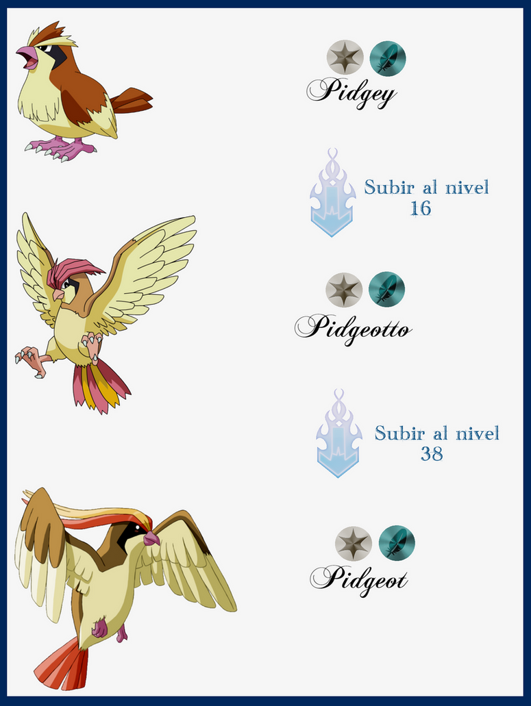 Pidgey Evolution Chart 006 Pidgey Evoluciones by Maxconnery on DeviantArt