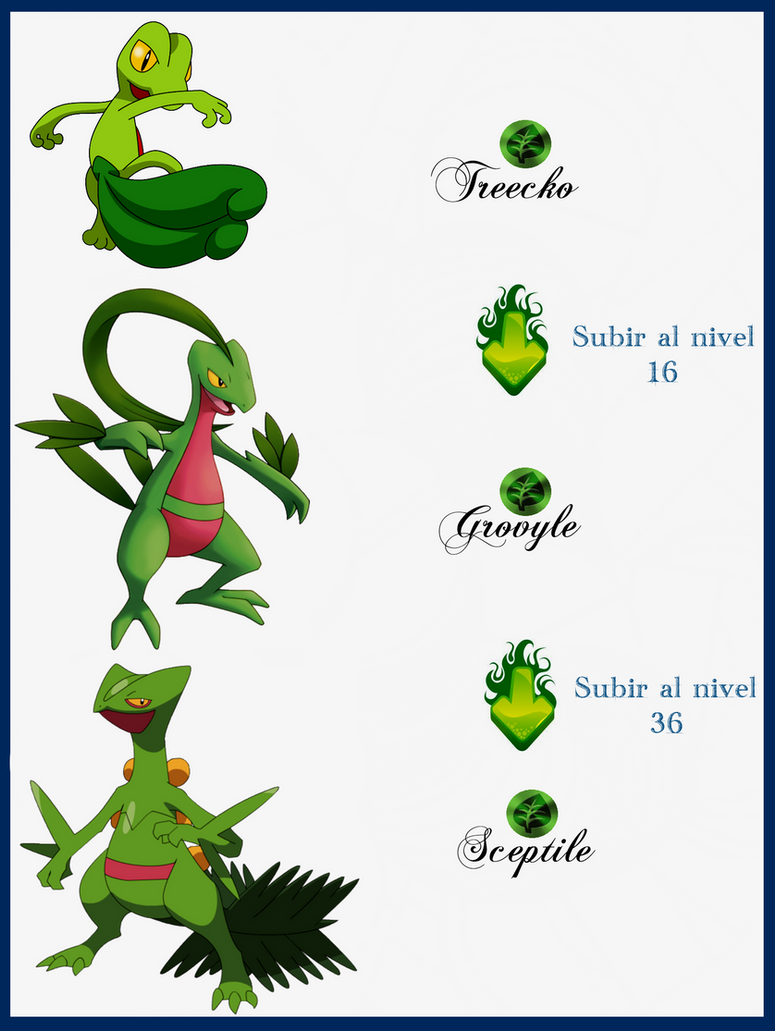 Treecko Variants 119 Treecko Evoluciones by Maxconnery on DeviantArt
