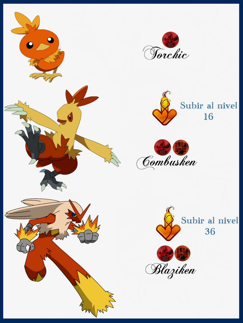 Torchic Evolution Path 120 Torchic Evoluciones by Maxconnery on DeviantArt