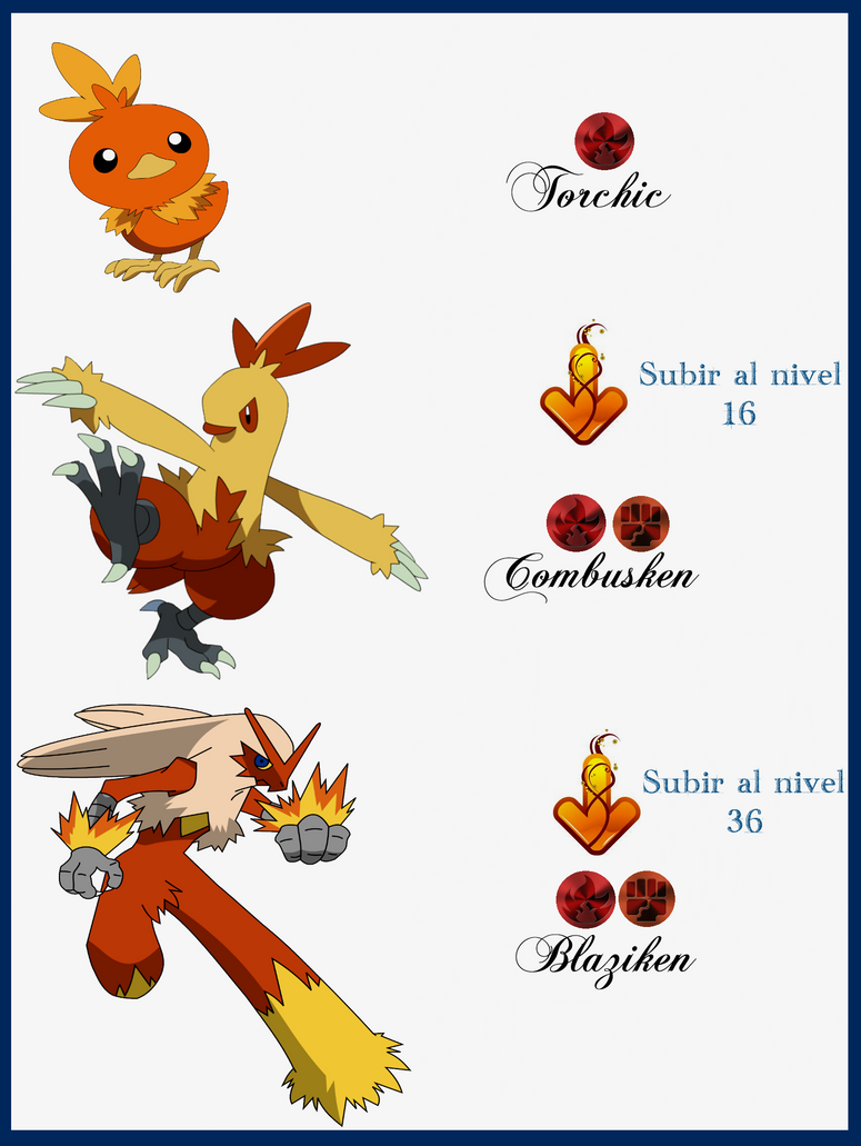 Torchic Evolution Drawing.pdf 120 Torchic Evoluciones by Maxconnery on DeviantArt