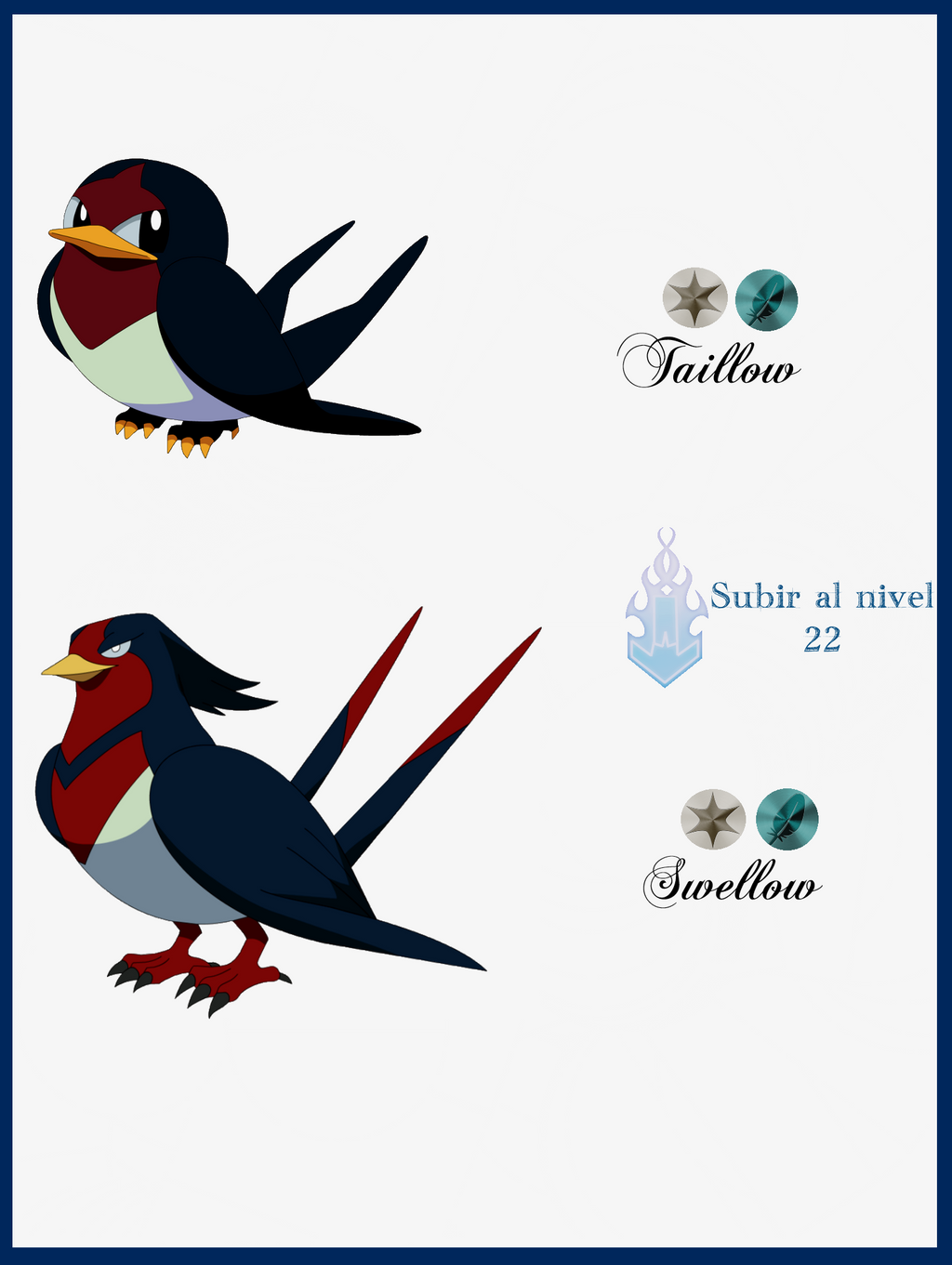 What Level Does Taillow Evolve